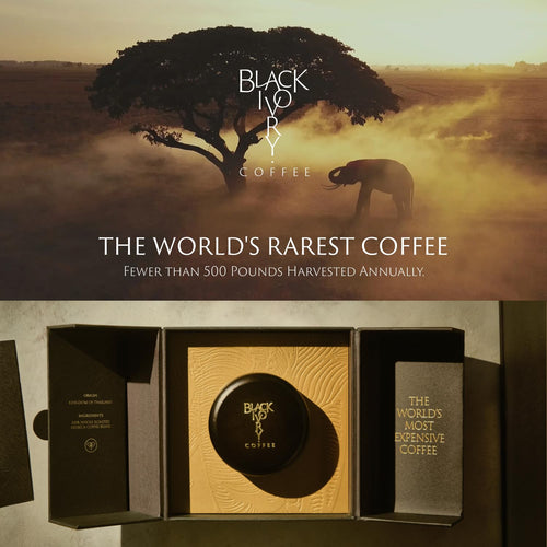Black Ivory Whole Bean Coffee, Naturally Refined by Elephants