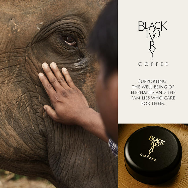 Black Ivory Whole Bean Coffee, Naturally Refined by Elephants