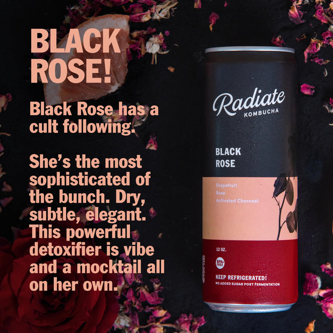 Radiate Organic Raw Kombucha Fermented Tea Drink