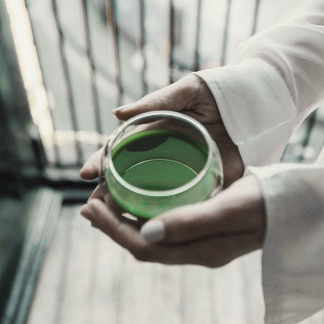 Matchaeologist Meiko Premium Ceremonial Matcha Powder