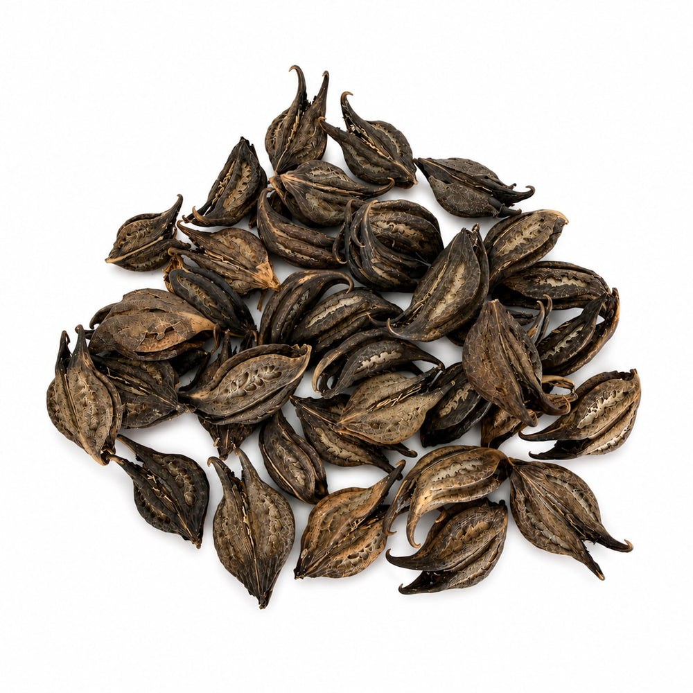 Alma Pura Cat's Claw Bark Herbal Tea, Naturally Caffeine-Free