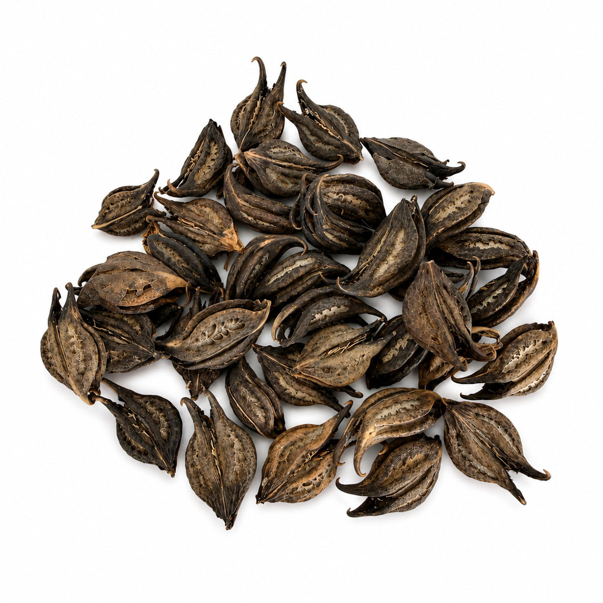 Alma Pura Cat's Claw Bark Herbal Tea, Naturally Caffeine-Free