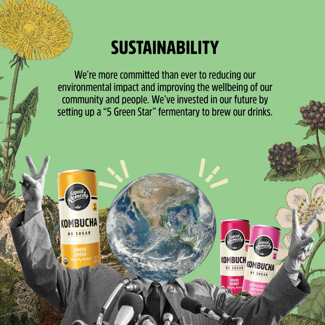 Liquid Remedy Organic Sugar-Free Kombucha Tea Drink
