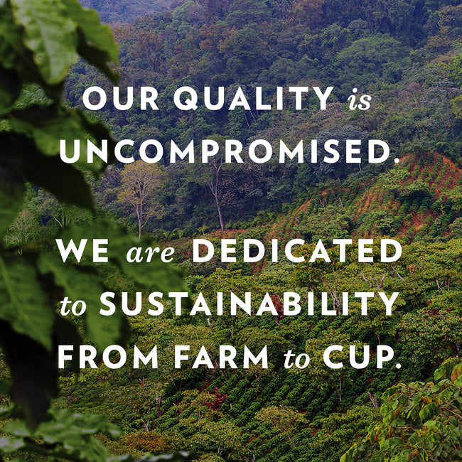 Community Coffee & Chicory Ground Blend, 32 oz, 4-Pack